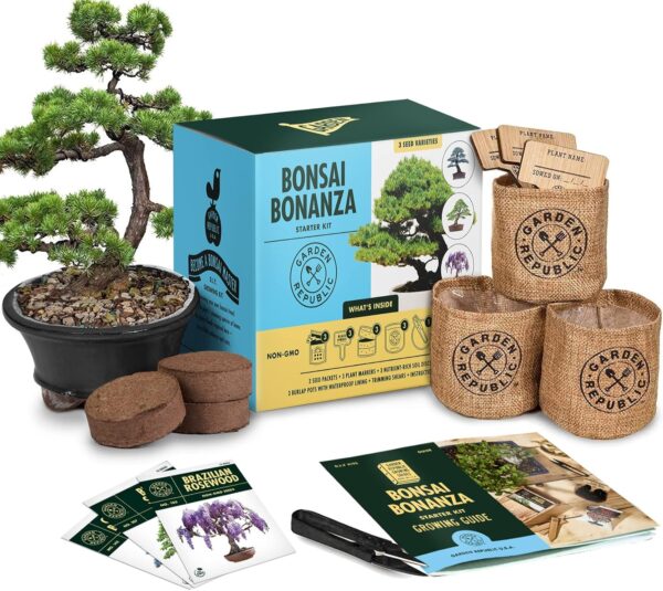Bonsai Tree Kit - Grow 3 Mini Bonsai Trees, Indoor Plant Growing Kit - Bonsai Starter Kit with Bonsai Seeds, Soil, Planters & Shears
