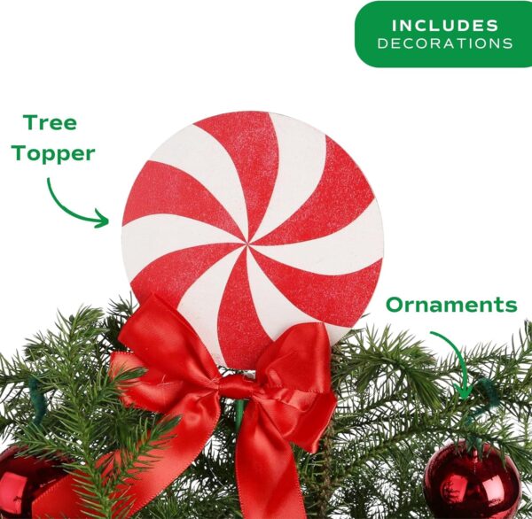 Costa Farms Live Christmas Tree, 18 to 20-Inches Tall, Decorated with Christmas Gift Wrap - Image 3